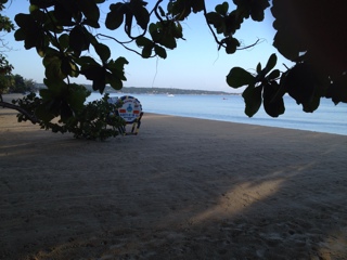 Name:  71bd612e.jpg
Views: 382
Size:  36.3 KB
