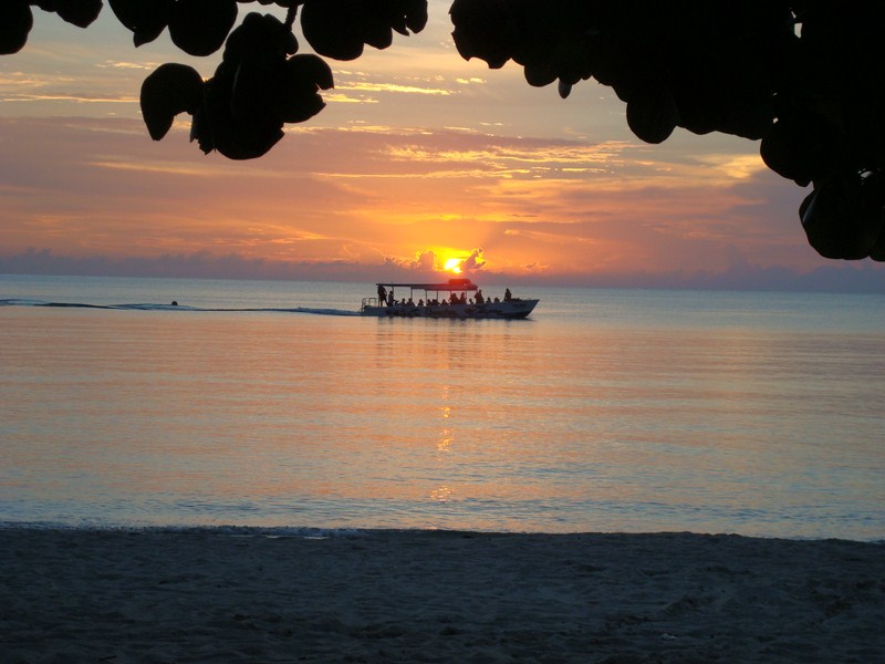 Name:  negril 068 [800x600].jpg
Views: 785
Size:  92.1 KB