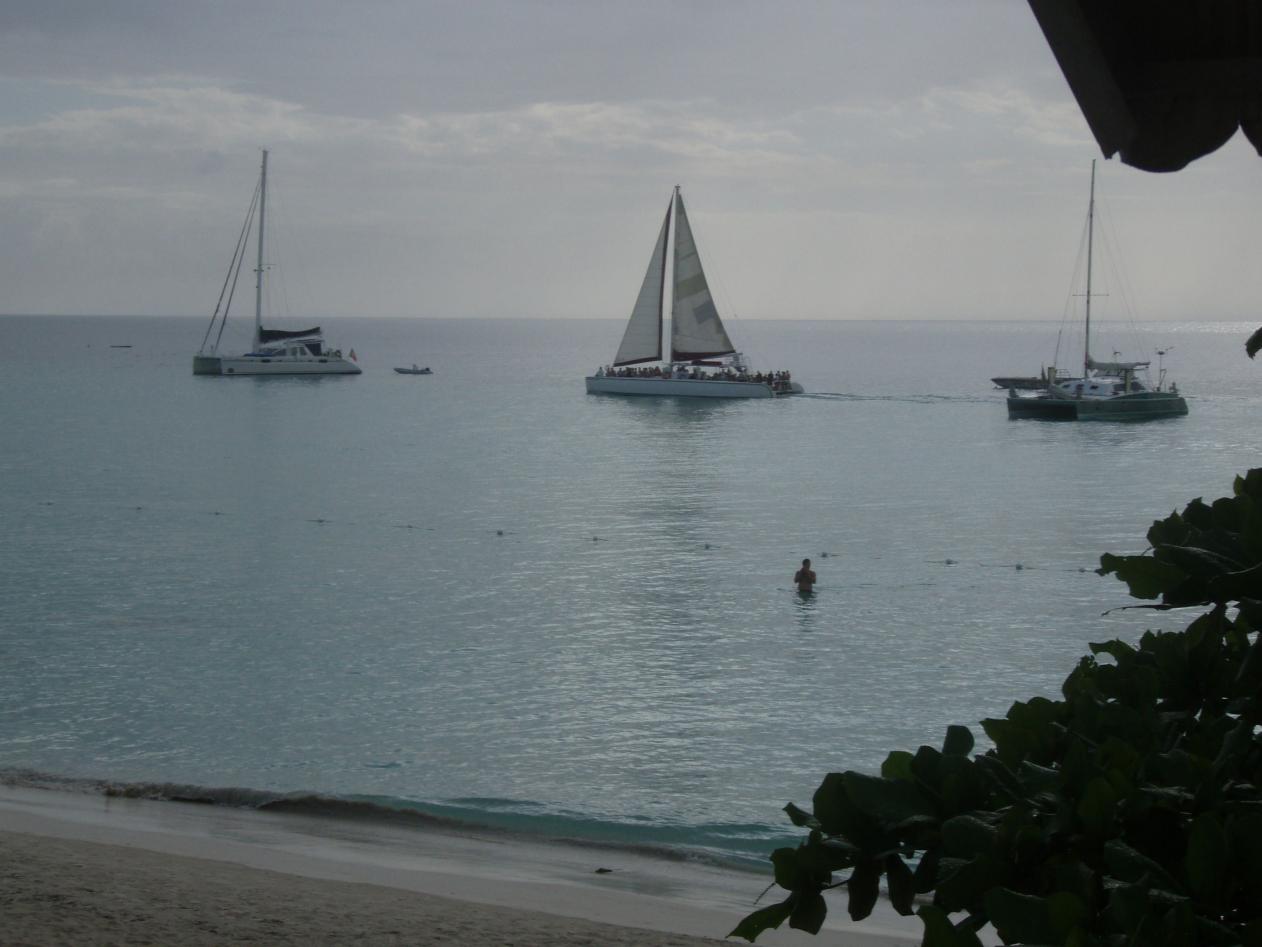 Name:  cat boats 2012.jpg
Views: 572
Size:  88.4 KB
