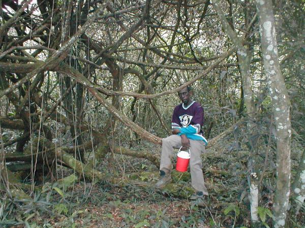 Name:  1997 ACC hike 1.jpg
Views: 256
Size:  82.9 KB