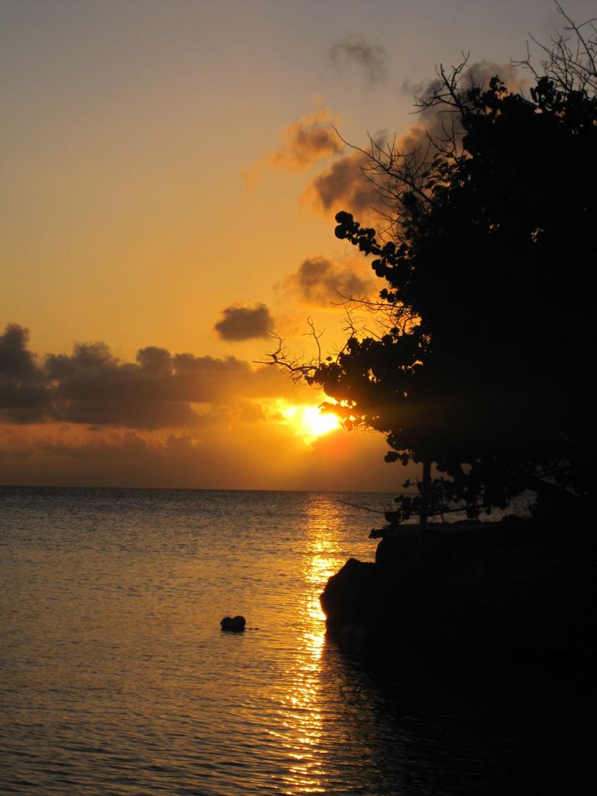 Name:  Jamaica Nov 2011 096.jpg
Views: 1466
Size:  89.0 KB