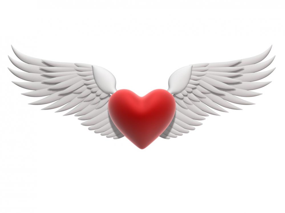 Name:  Heart%20with%20wings.jpg
Views: 282
Size:  31.3 KB