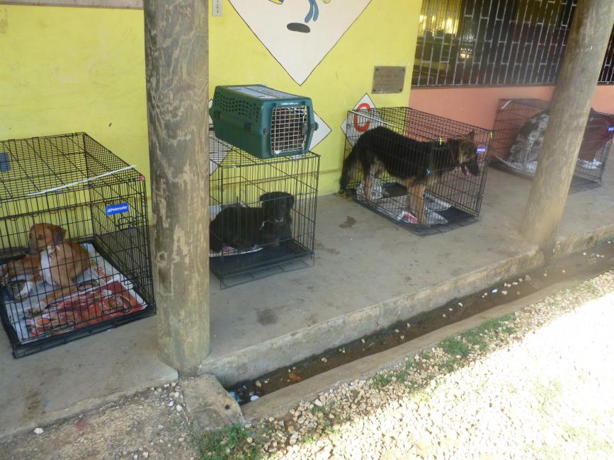 Name:  P1000262.jpg
Views: 508
Size:  96.7 KB
