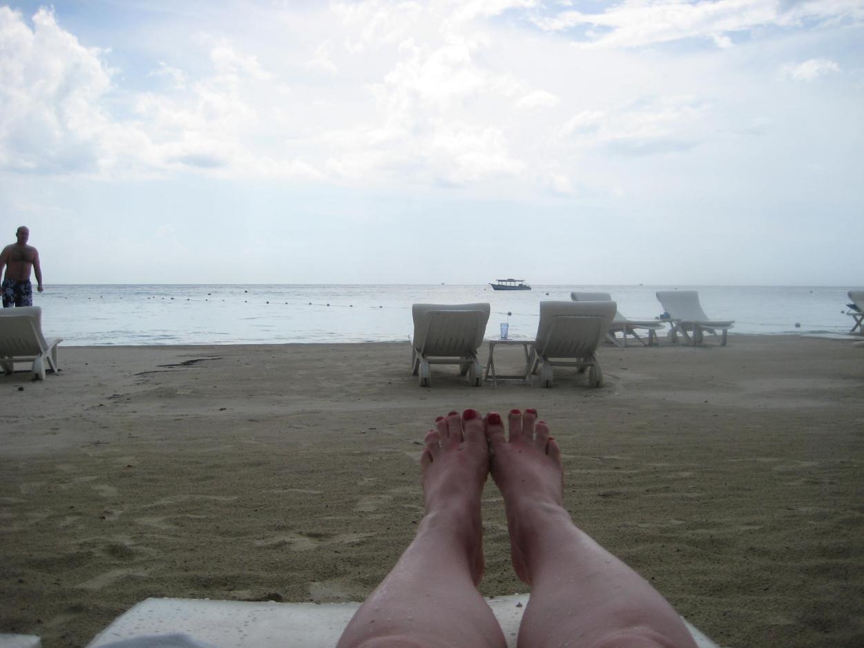Name:  IMG_4585.jpg
Views: 685
Size:  88.3 KB