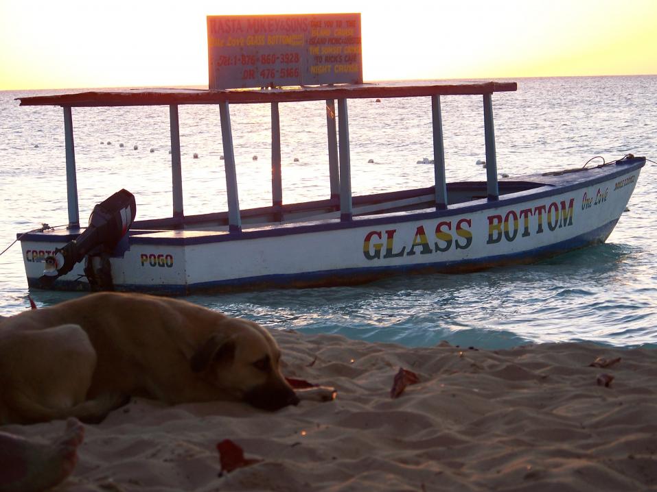 Name:  Negril 2011 Merrils BCC 131.jpg
Views: 1406
Size:  92.5 KB