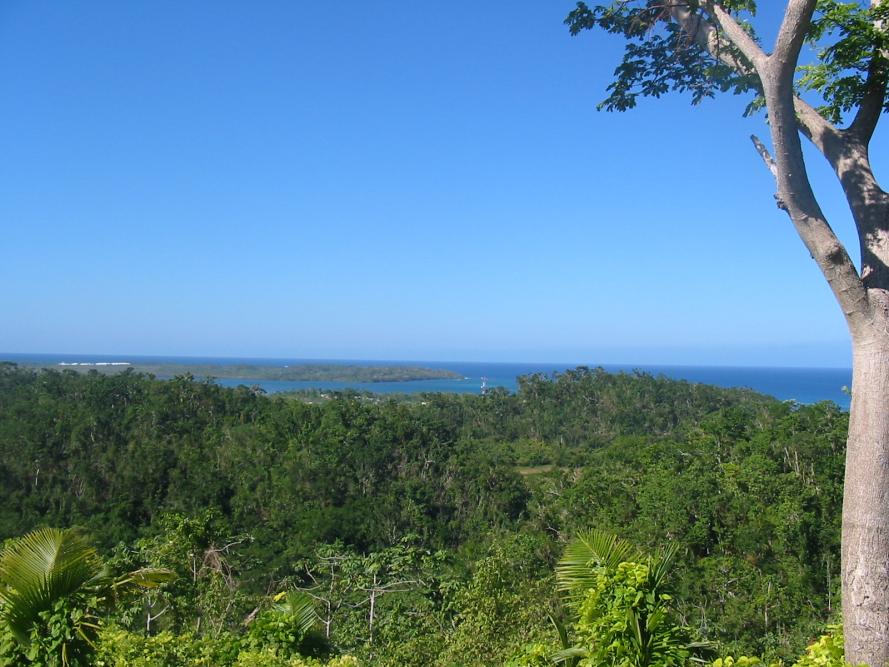 Name:  jamaica pictures 079.jpg
Views: 1347
Size:  95.8 KB