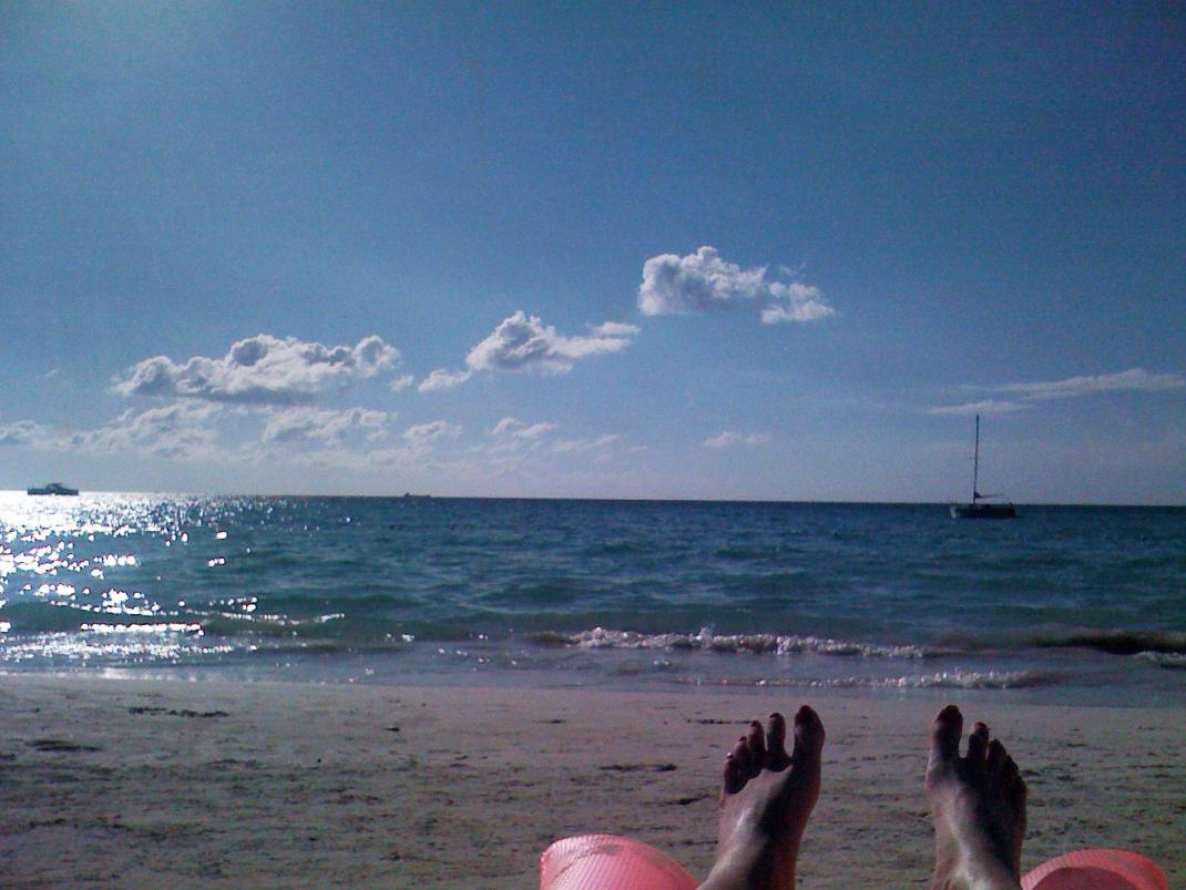 Name:  Jamaica Nov 2009 009.jpg
Views: 387
Size:  96.0 KB