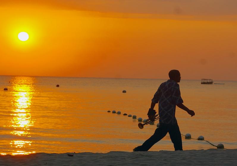 Name:  1Reggae Trumpet.jpg
Views: 152
Size:  35.6 KB