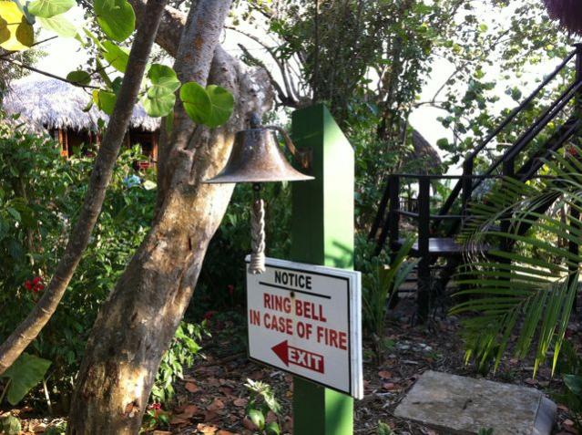 Name: IMG_0123.jpg
Views: 708
Size: 79.0 KB