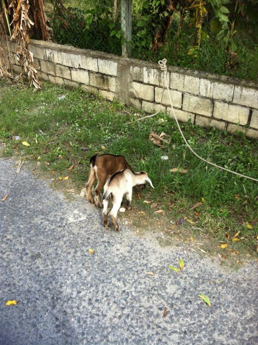 Name:  IMG_1540.jpg
Views: 382
Size:  99.5 KB