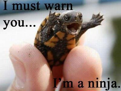 Name:  ninga turtle.jpg
Views: 935
Size:  20.6 KB