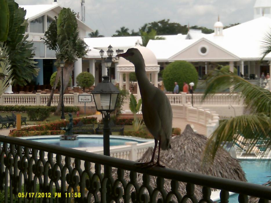 Name:  DSCF0056.jpg
Views: 624
Size:  91.0 KB