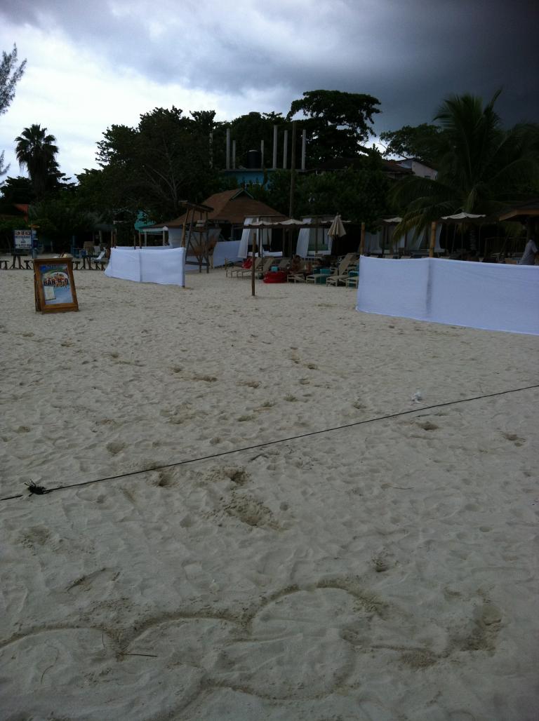 Name:  IMG_1663.jpg
Views: 484
Size:  93.5 KB