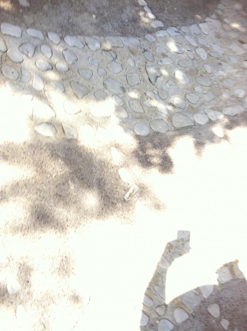 Name:  IMG_1679.jpg
Views: 430
Size:  90.5 KB