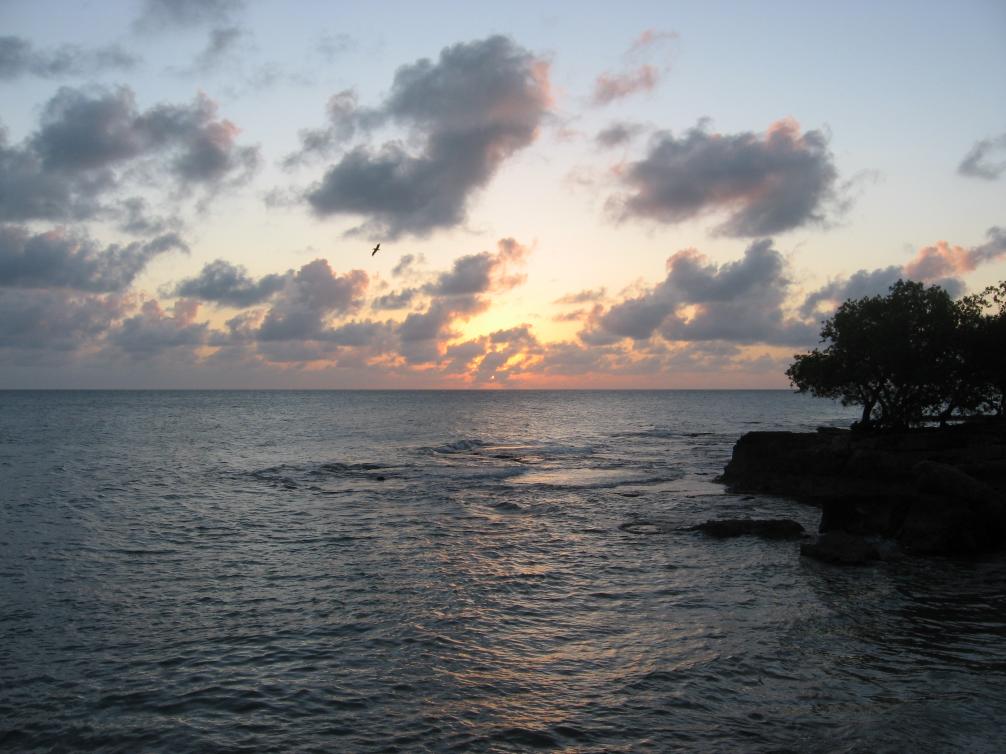 Name:  IMG_2738.jpg
Views: 569
Size:  93.4 KB