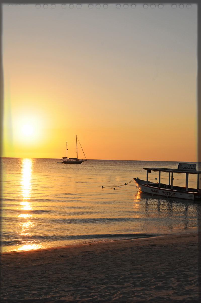 Name:  DSC_8169Er.jpg
Views: 1447
Size:  83.3 KB