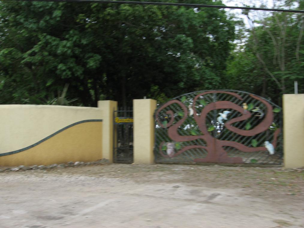 Name:  IMG_3046.jpg
Views: 543
Size:  90.5 KB