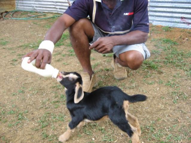 Name:  IMG_1062.jpg
Views: 496
Size:  55.3 KB