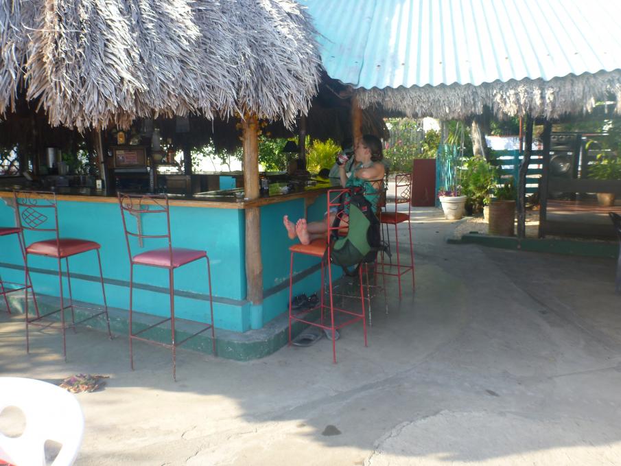 Name:  P1000153.jpg
Views: 570
Size:  95.0 KB