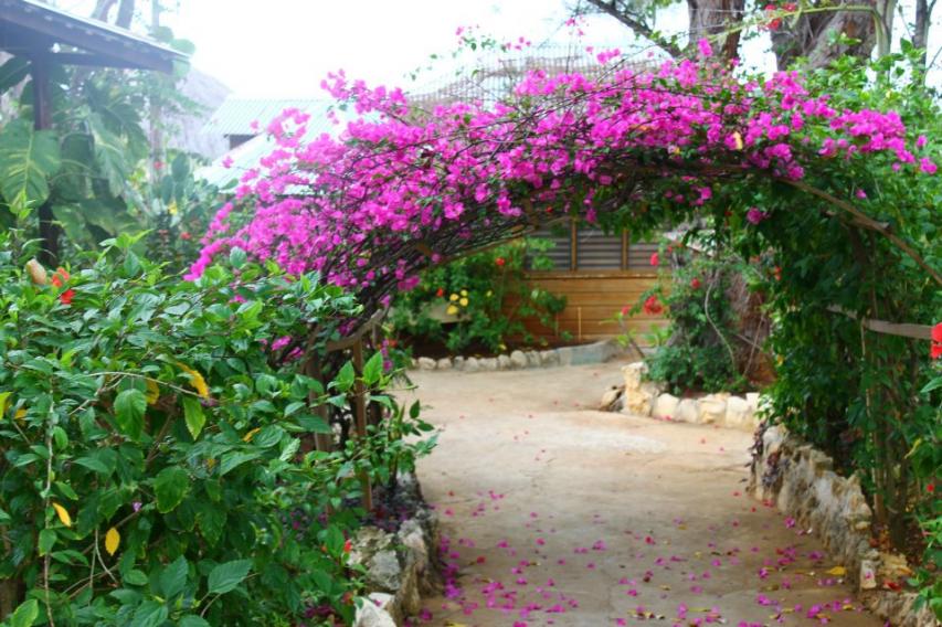 Name:  536268_3823539349009_560604034_n.jpg
Views: 1110
Size:  101.4 KB