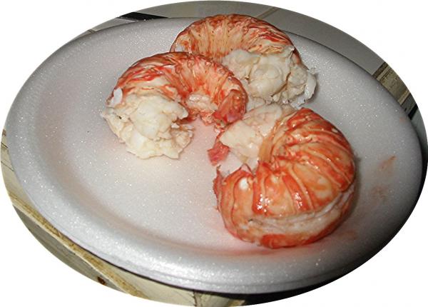 Name:  lobster cooked patty man.jpg
Views: 297
Size:  36.1 KB
