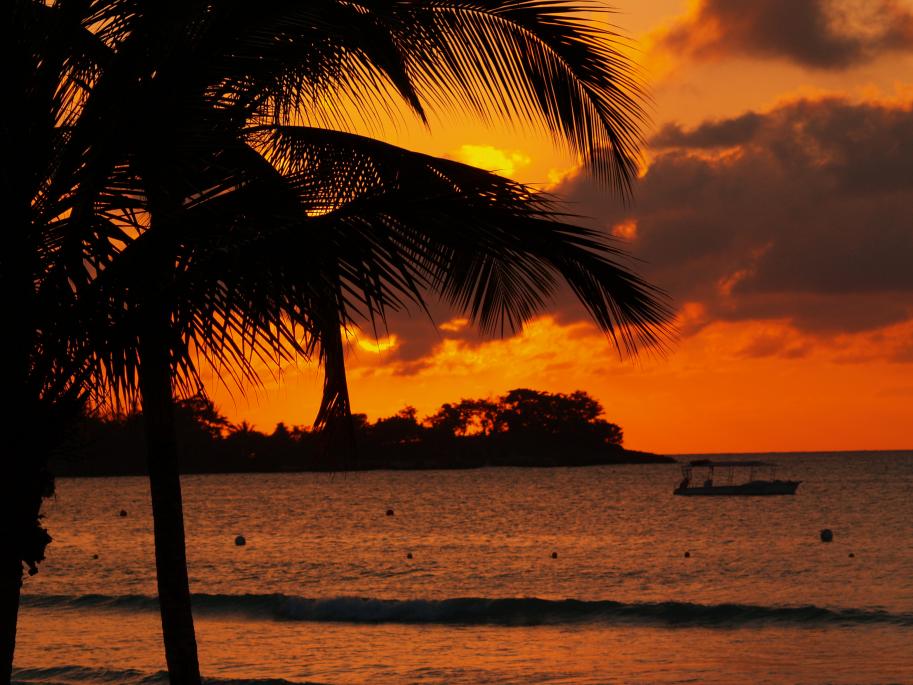 Name:  Jamaica 2009 (156).jpg
Views: 248
Size:  94.7 KB