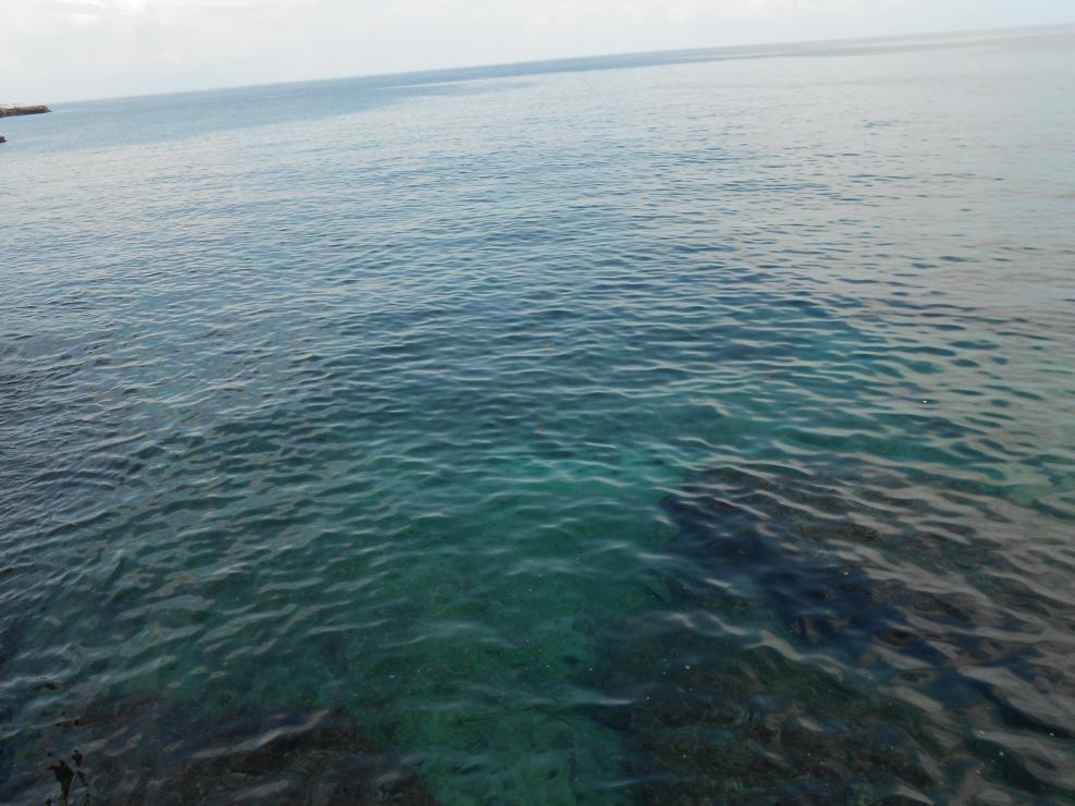 Name:  DSCN0479.jpg
Views: 991
Size:  92.4 KB