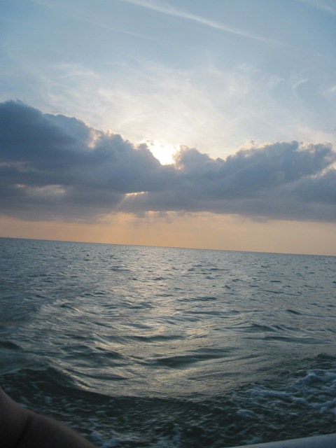 Name:  161.JPG
Views: 636
Size:  77.4 KB
