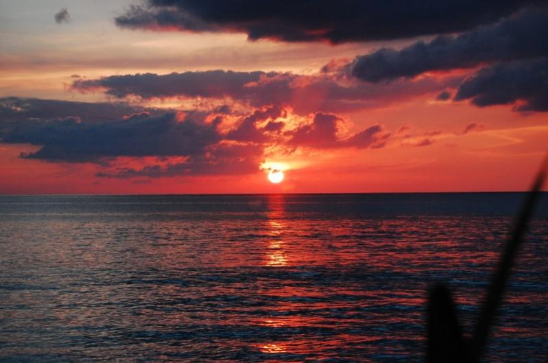 Name:  111(800 x 530).jpg
Views: 221
Size:  52.7 KB