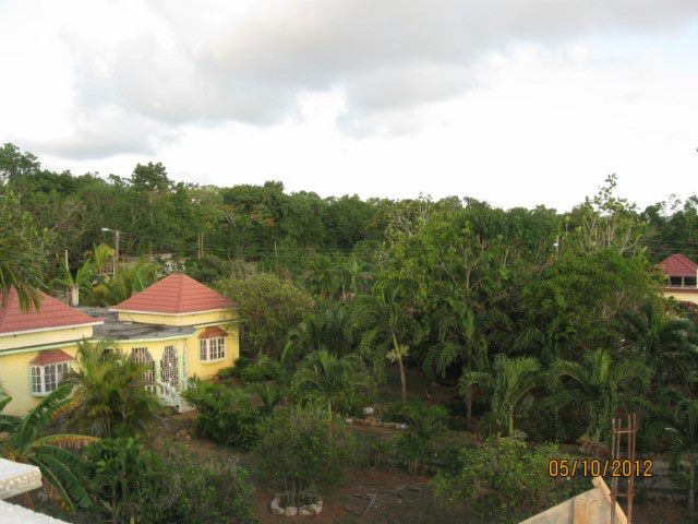 Name:  554784_10151691972010277_1023172064_n.jpg
Views: 180
Size:  55.7 KB