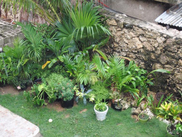 Name:  Paradise 003.jpg
Views: 475
Size:  100.5 KB