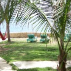 Name:  lawn.jpg
Views: 435
Size:  13.7 KB
