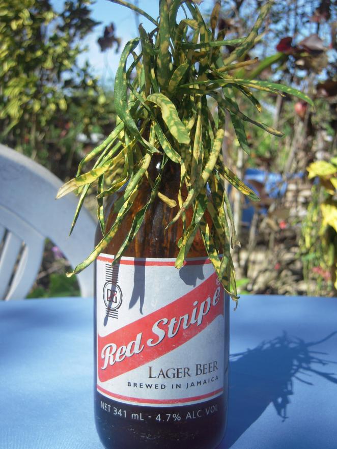 Name:  Jamaica-Cindy 472.jpg
Views: 172
Size:  94.5 KB