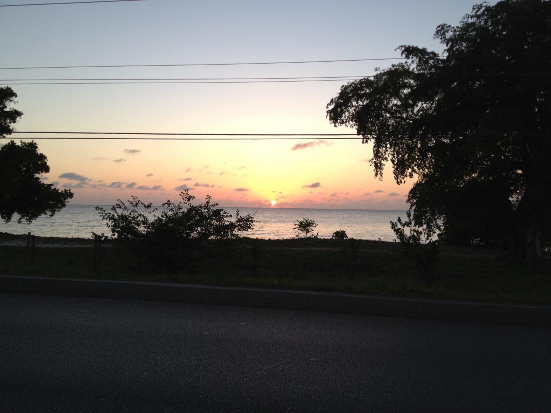 Name:  pic 028.jpg
Views: 1377
Size:  94.7 KB