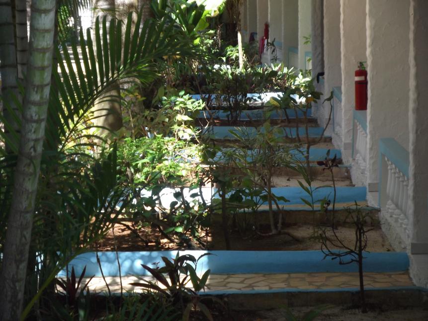 Name:  DSCF0254.jpg
Views: 1908
Size:  95.9 KB