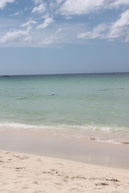 Name:  058.jpg
Views: 571
Size:  21.9 KB