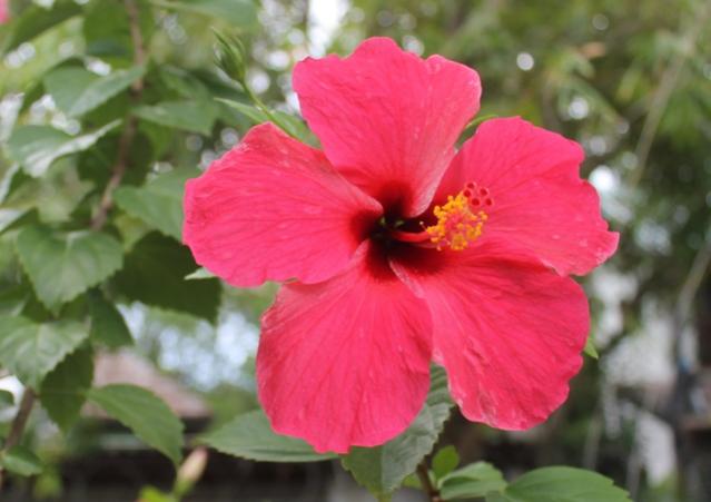 Name:  005.jpg
Views: 591
Size:  33.7 KB
