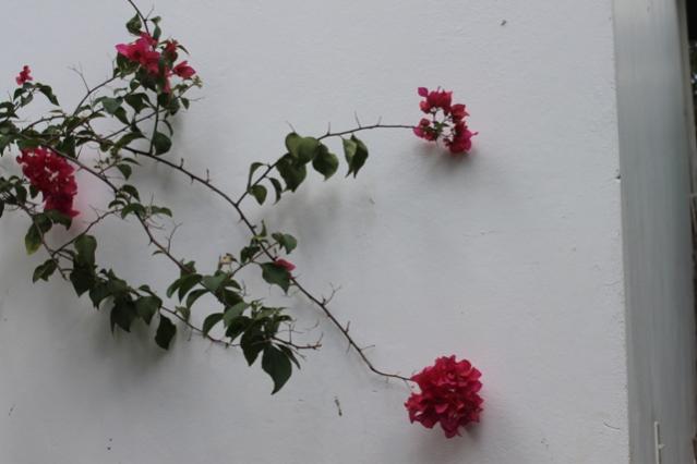 Name:  016.jpg
Views: 581
Size:  26.2 KB