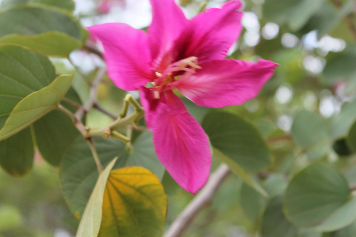 Name:  023.jpg
Views: 597
Size:  76.5 KB