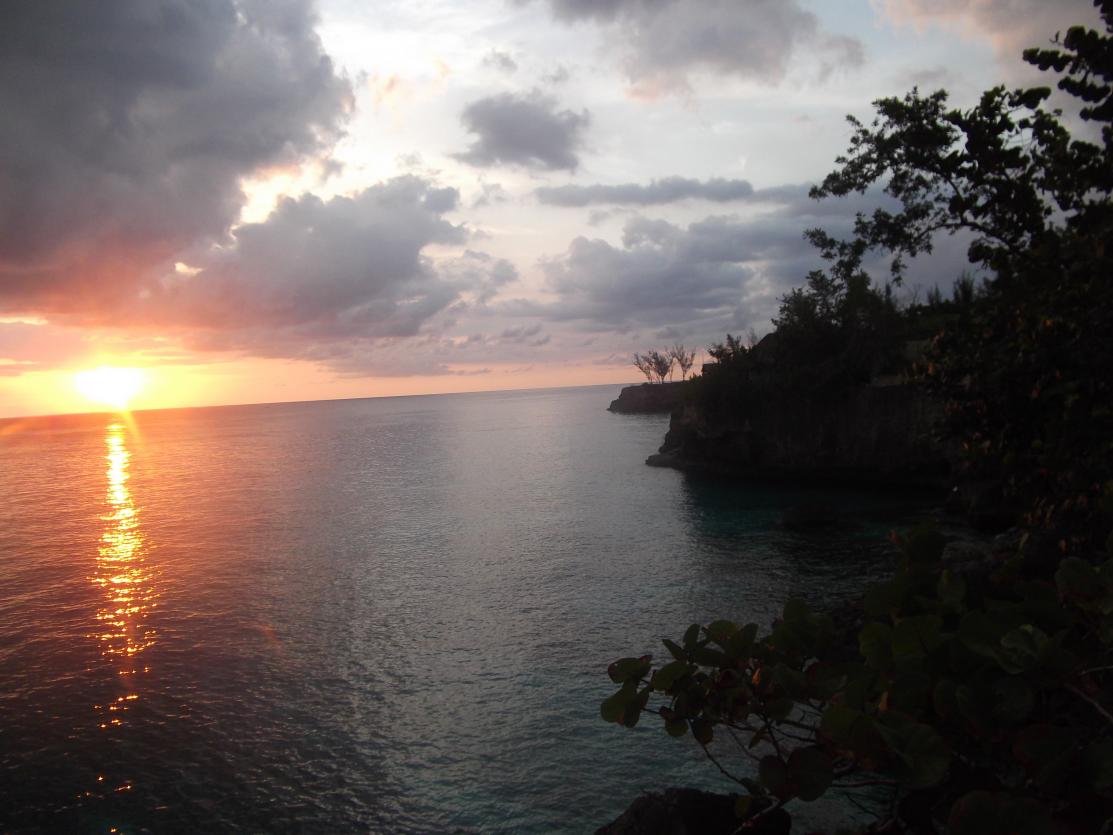 Name:  DSCF0393.jpg
Views: 1686
Size:  89.6 KB
