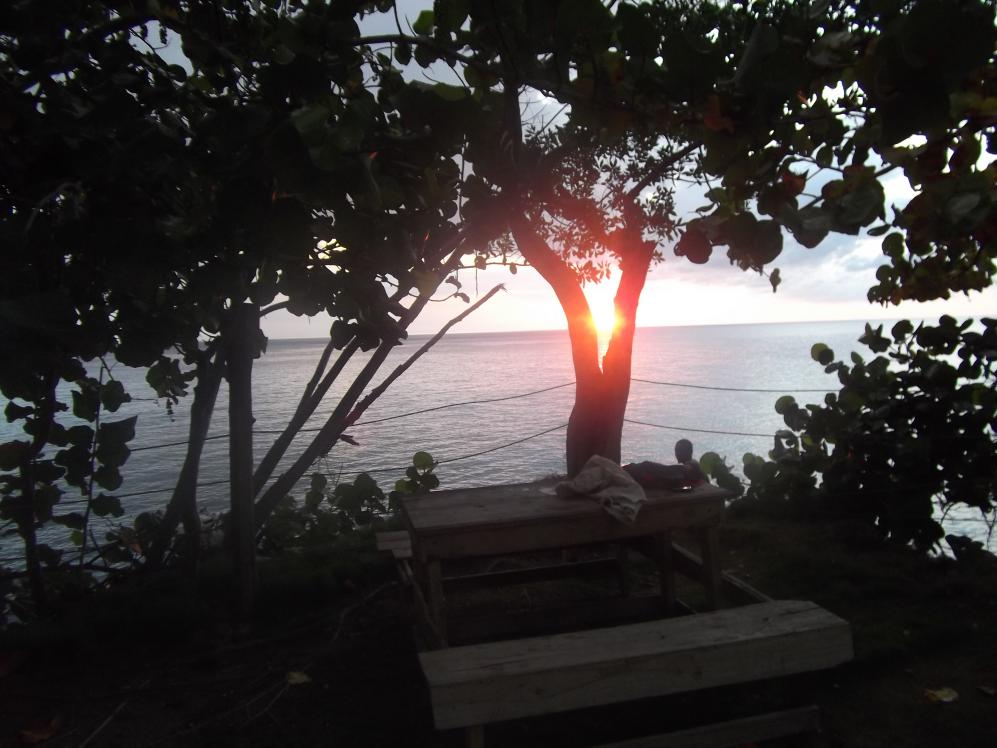 Name:  DSCF0396.jpg
Views: 1721
Size:  88.8 KB