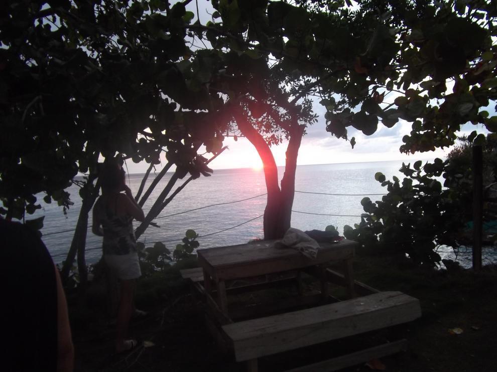 Name:  DSCF0397.jpg
Views: 1681
Size:  89.2 KB