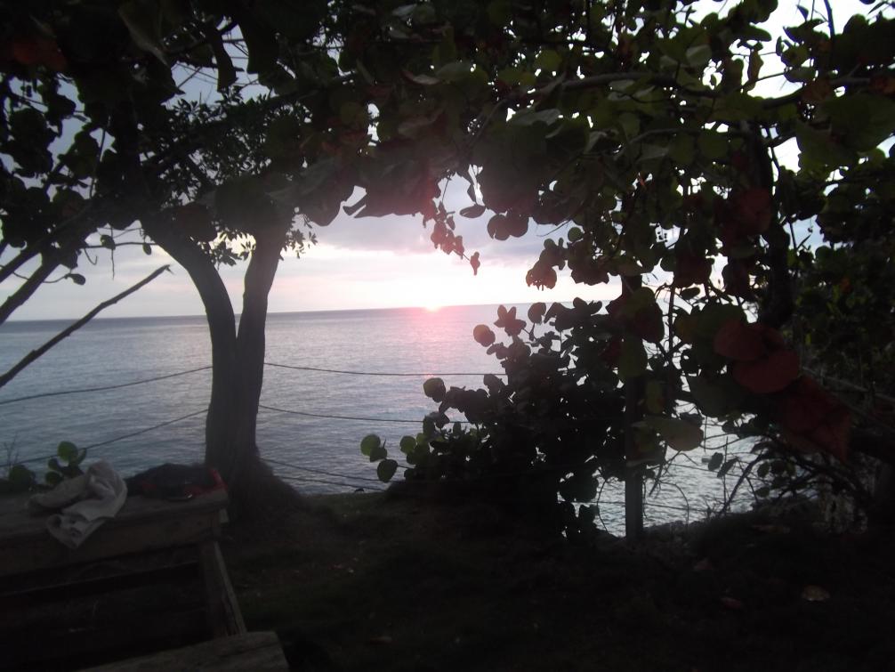 Name:  DSCF0399.jpg
Views: 1673
Size:  88.0 KB
