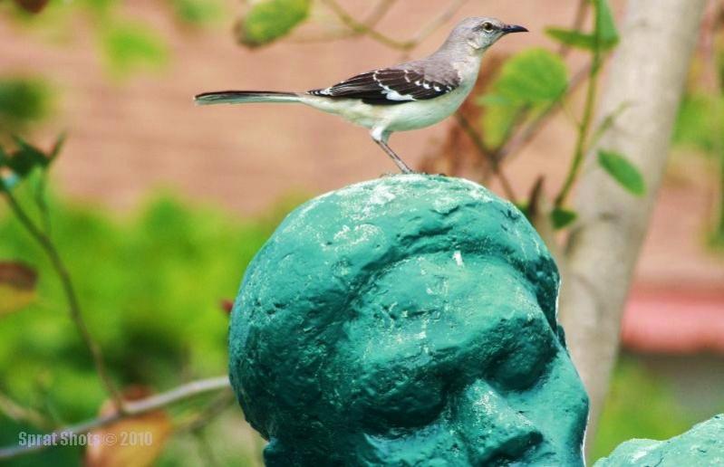 Name:  StatueBird.jpg
Views: 948
Size:  48.8 KB