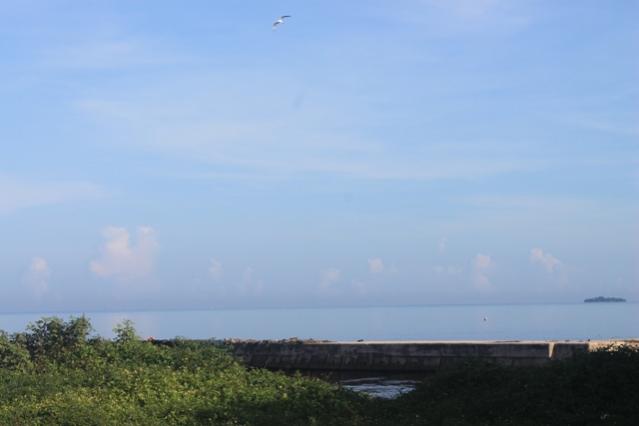 Name:  015.jpg
Views: 467
Size:  17.9 KB