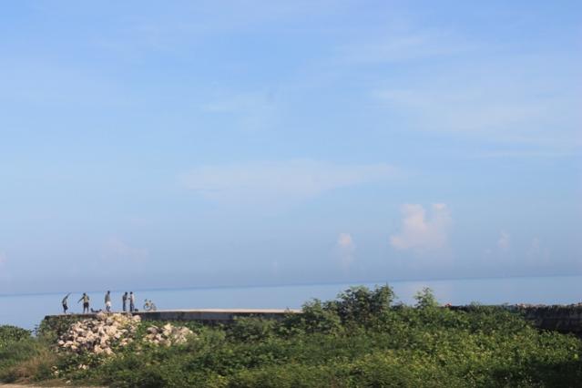 Name:  017.jpg
Views: 455
Size:  22.2 KB