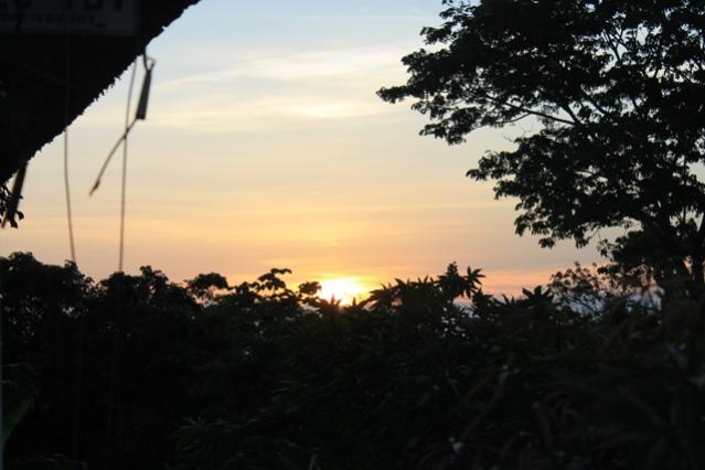 Name:  022.jpg
Views: 362
Size:  33.1 KB