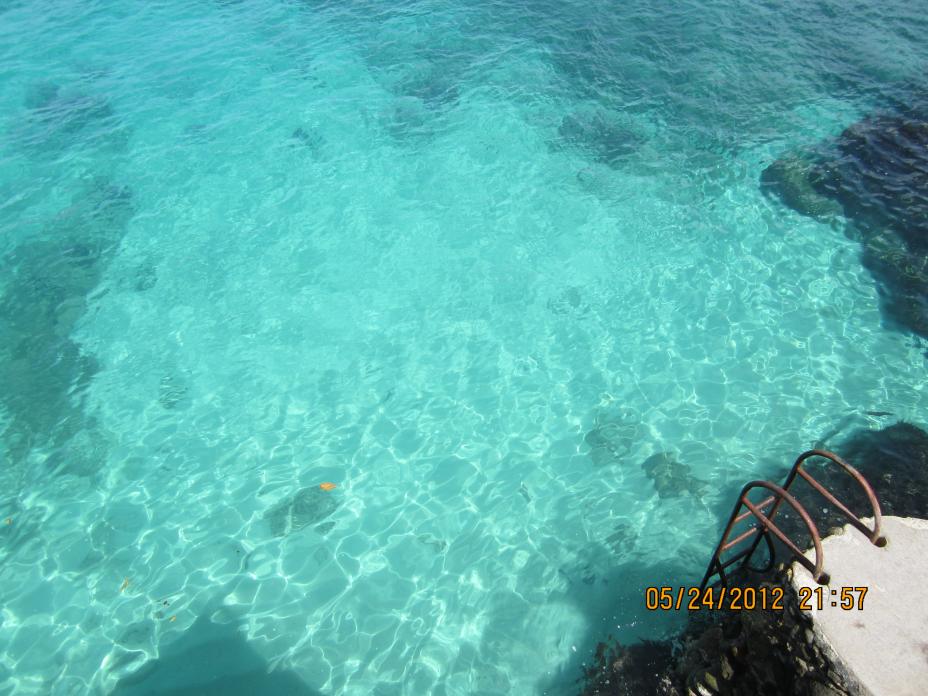 Name:  Negril 2012 153.jpg
Views: 380
Size:  93.7 KB