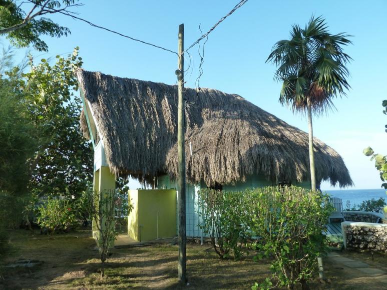 Name:  Negril 2012 010.jpg
Views: 592
Size:  99.3 KB
