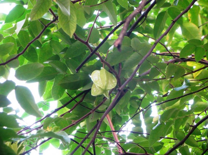 Click image for larger version. 

Name:	IMG_3908.jpg 
Views:	746 
Size:	82.9 KB 
ID:	1823